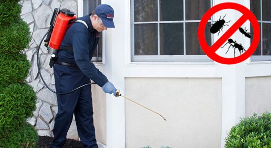 Denizli Fare İlaçlama böcek ilaçlama ve haşere kontrolü — ilaclama-tr.com